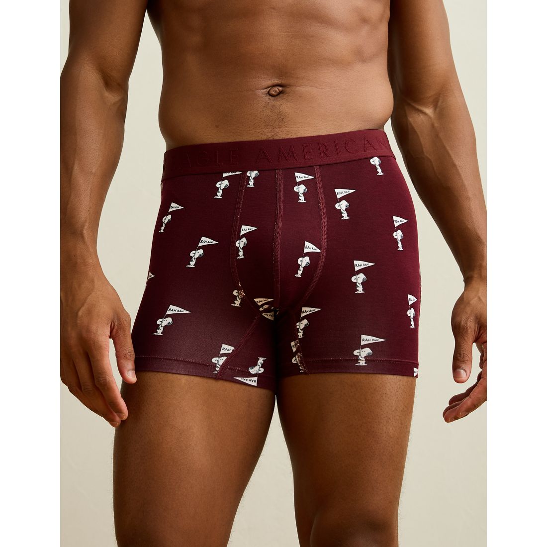 American Eagle AE
