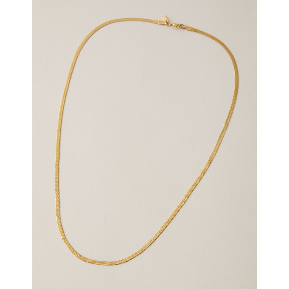 American Eagle AE Snake Chain Necklace
