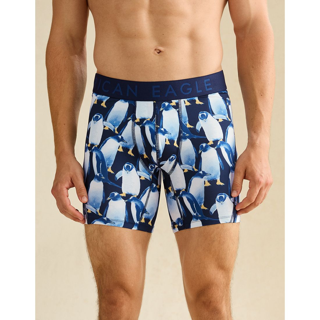 American Eagle AE
