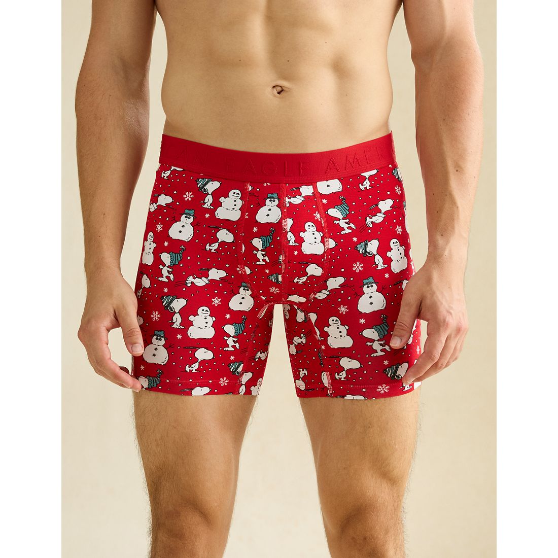 American Eagle AE