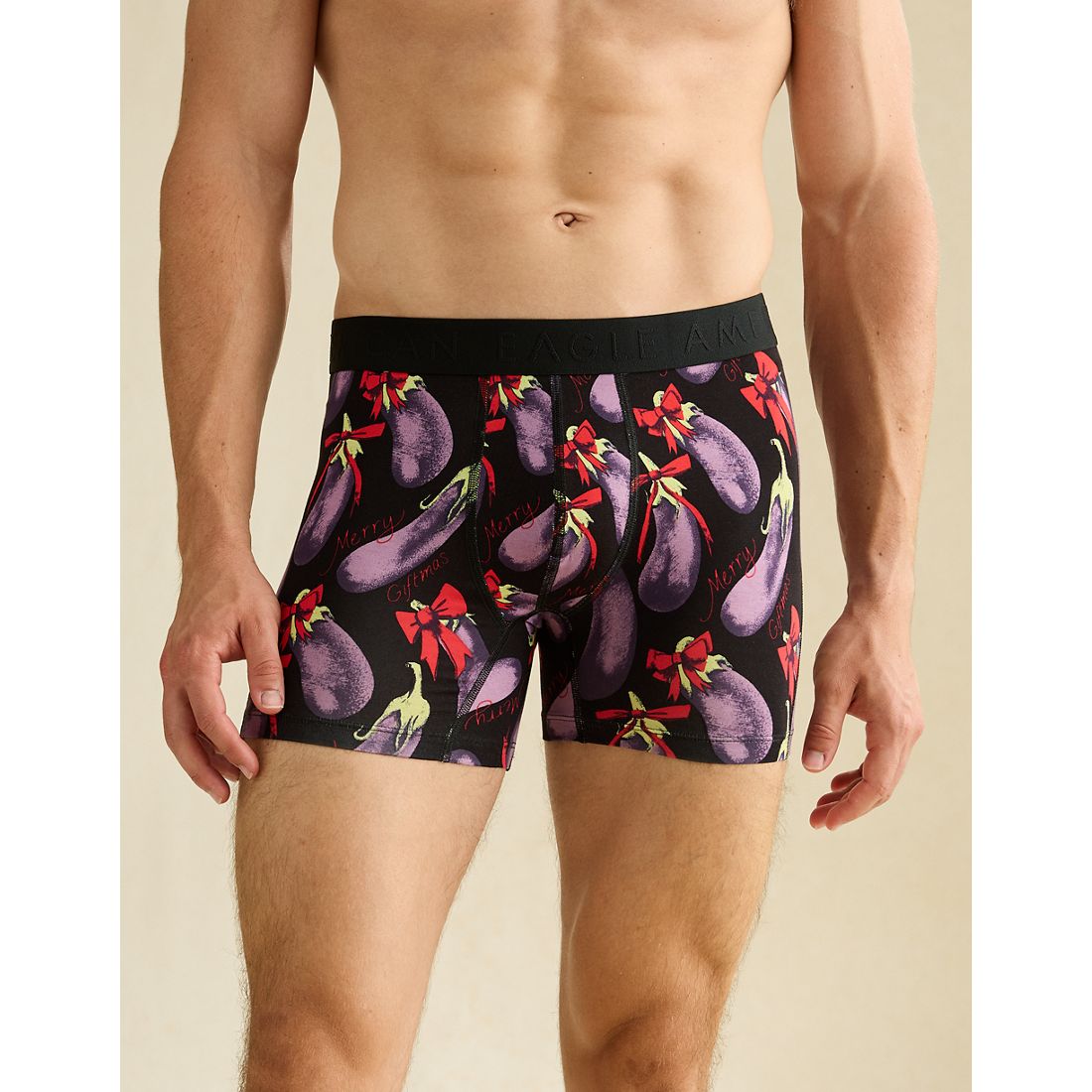 American Eagle AE