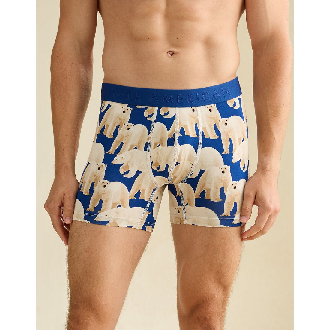 American Eagle AE