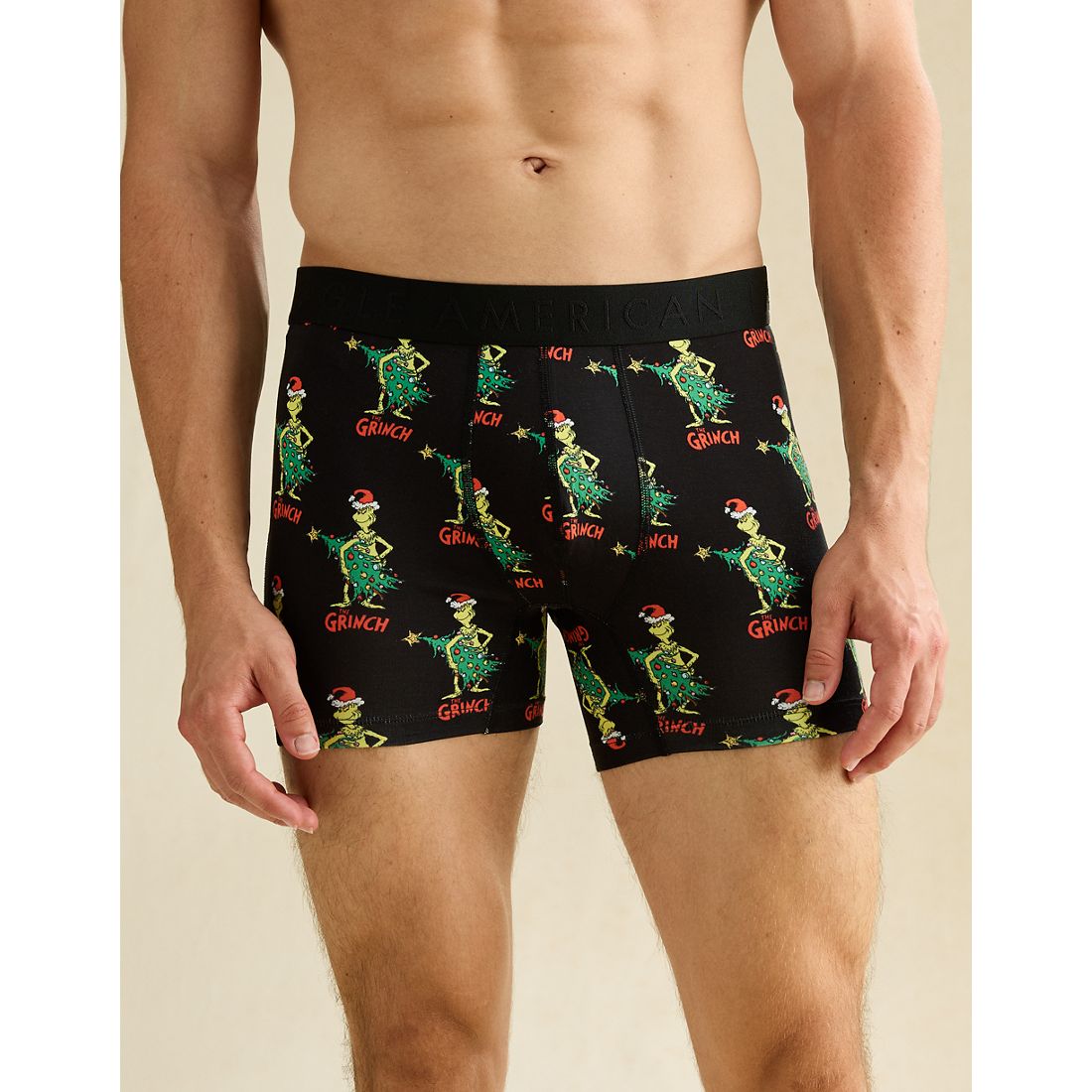 American Eagle AE
