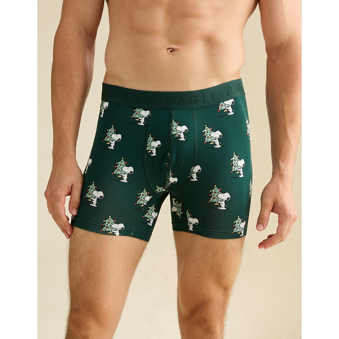 American Eagle AE