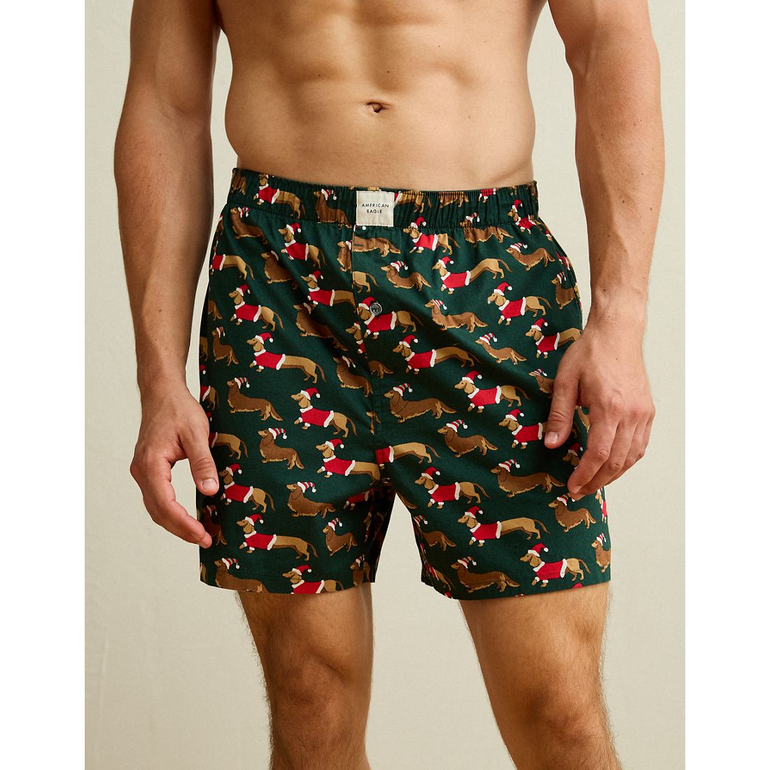 American Eagle AE