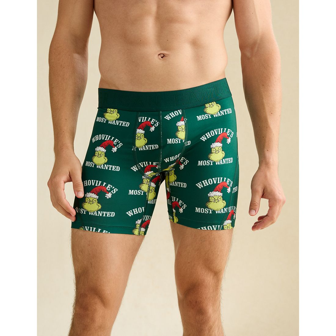 American Eagle AE