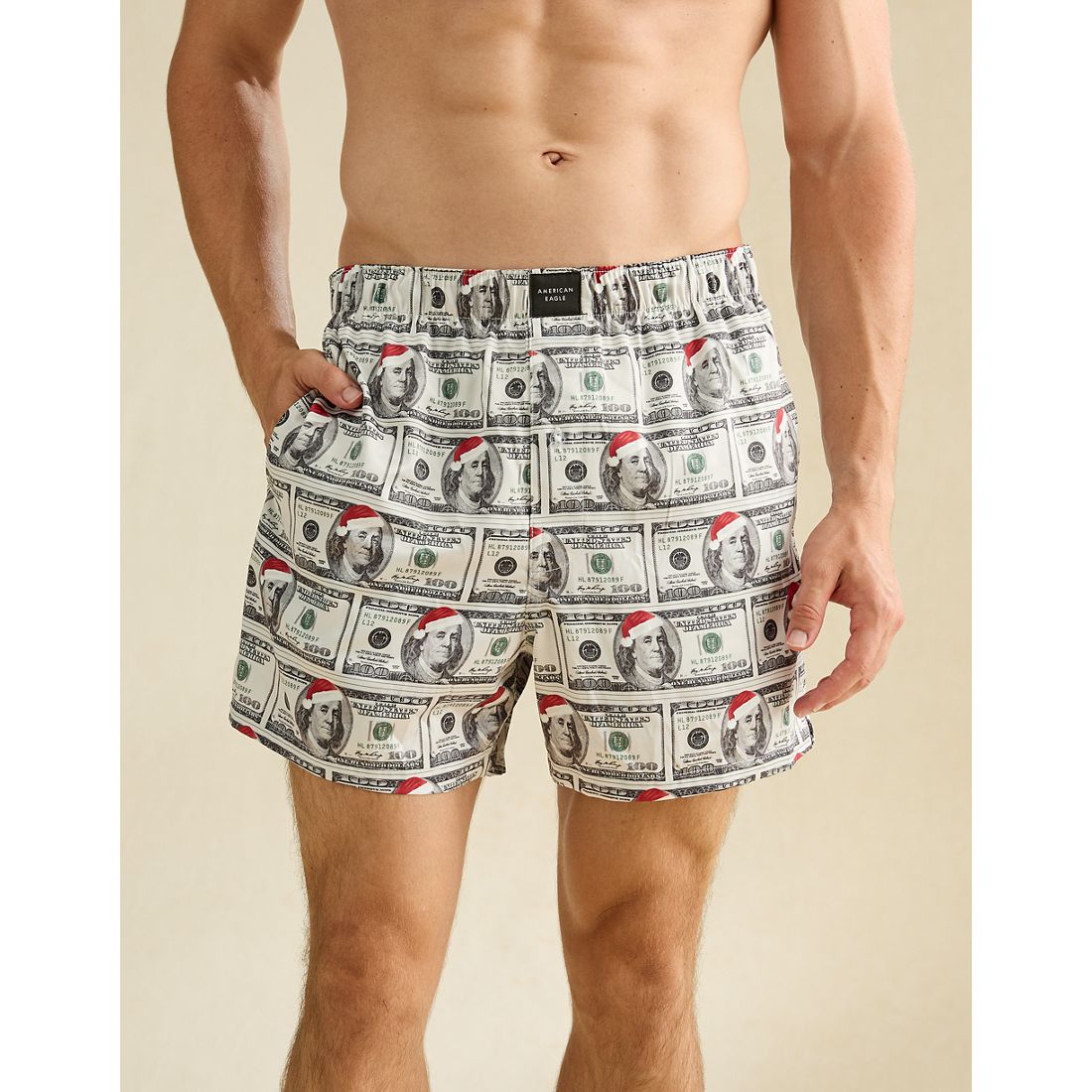 American Eagle AE