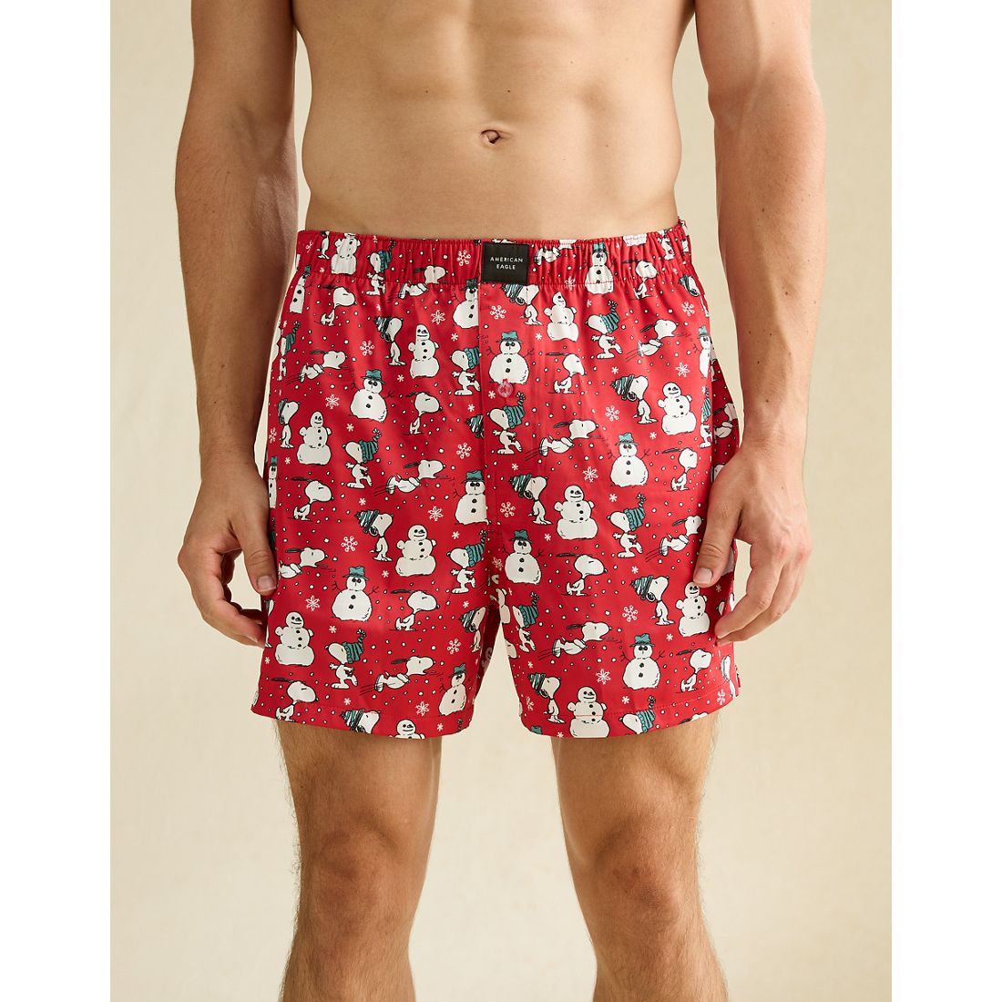 American Eagle AE