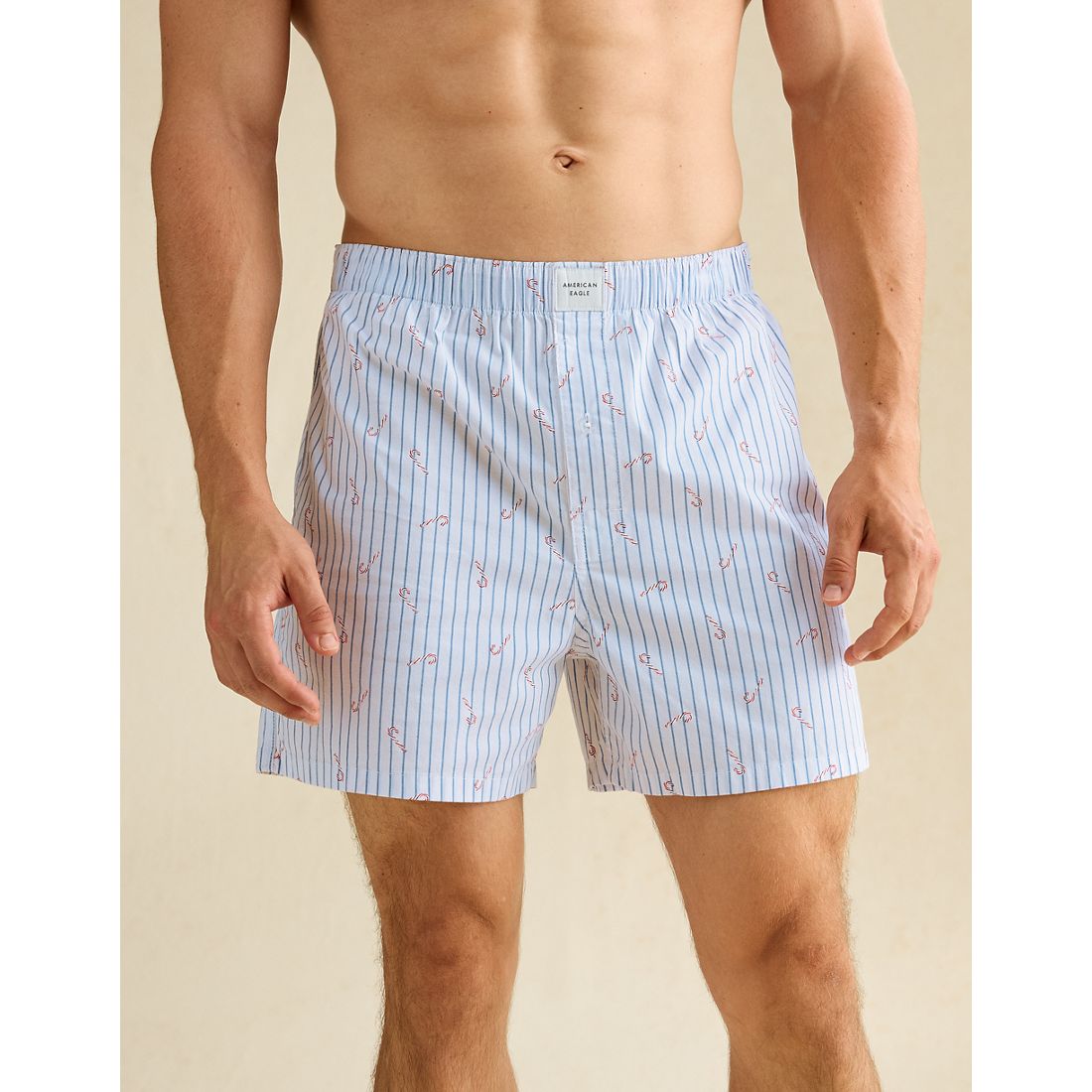 American Eagle AE