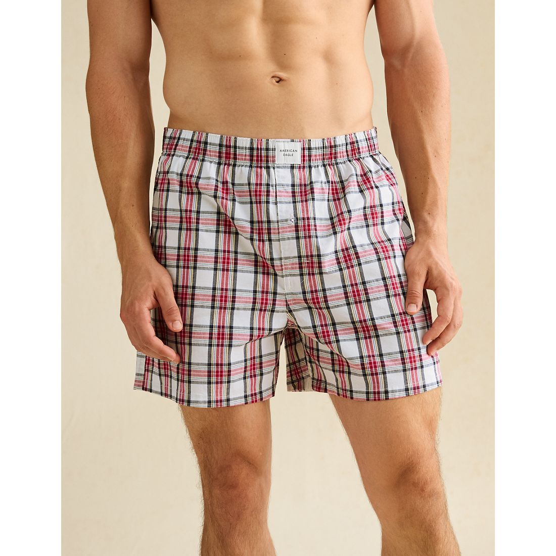 American Eagle AE