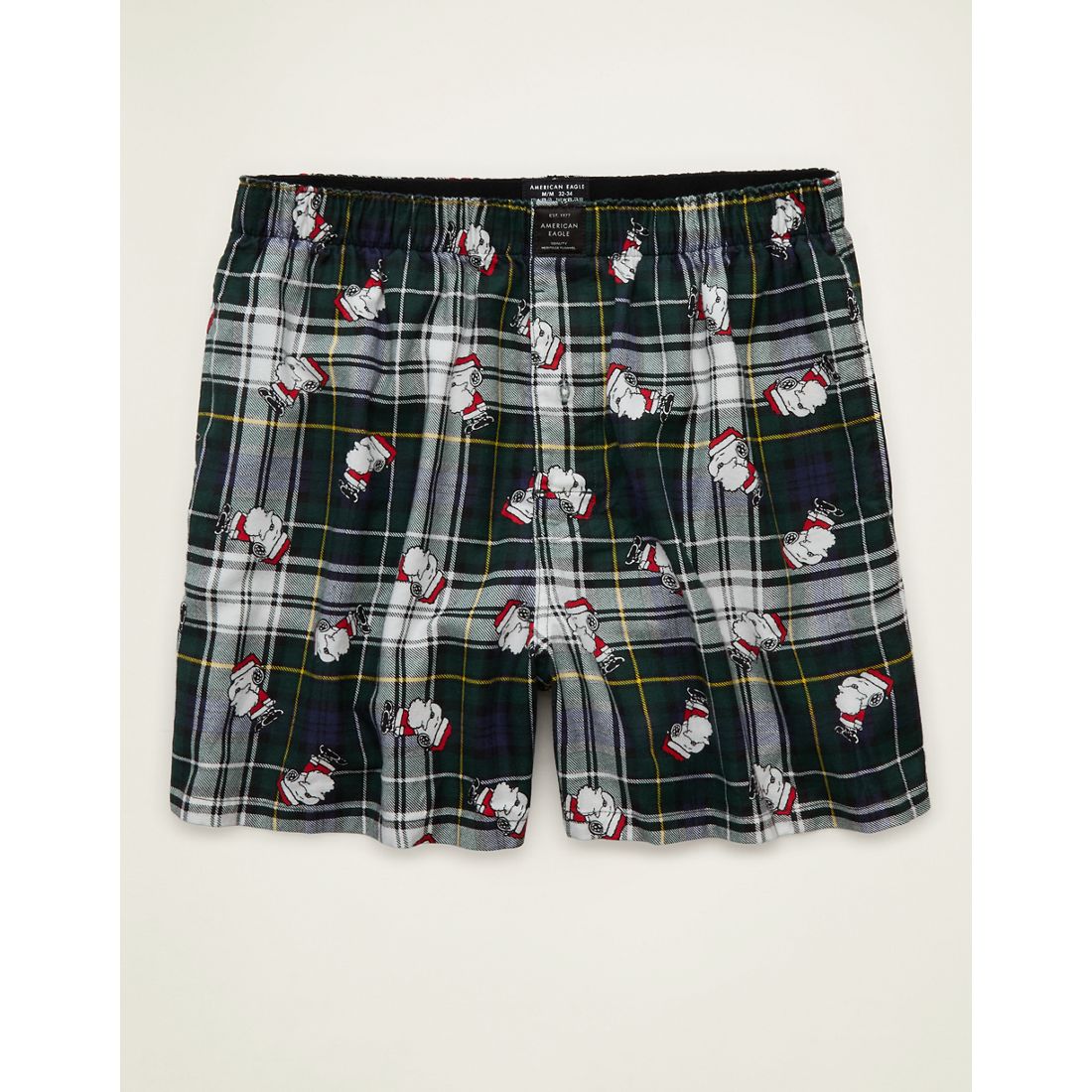 American Eagle AE