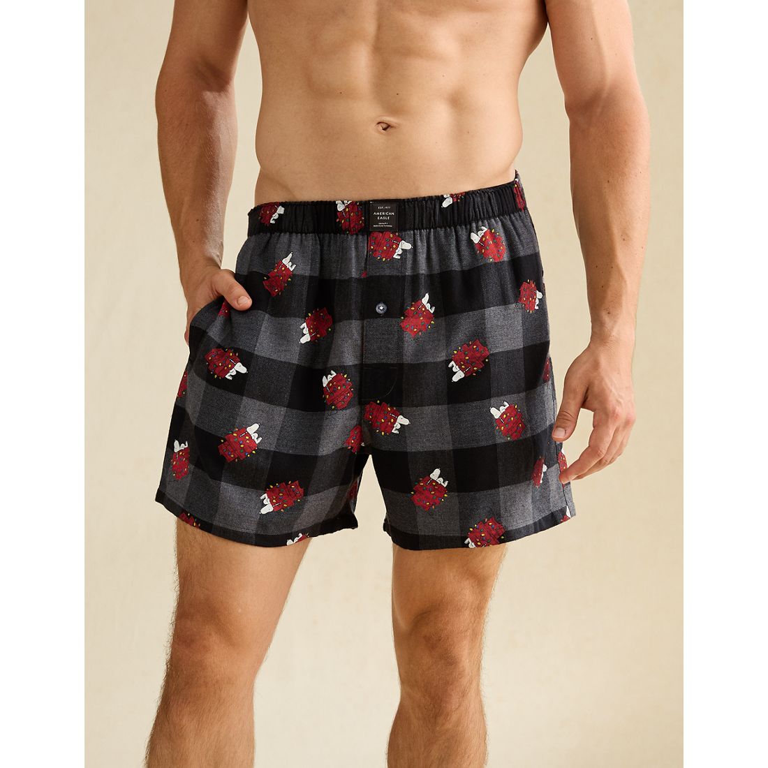 American Eagle AE