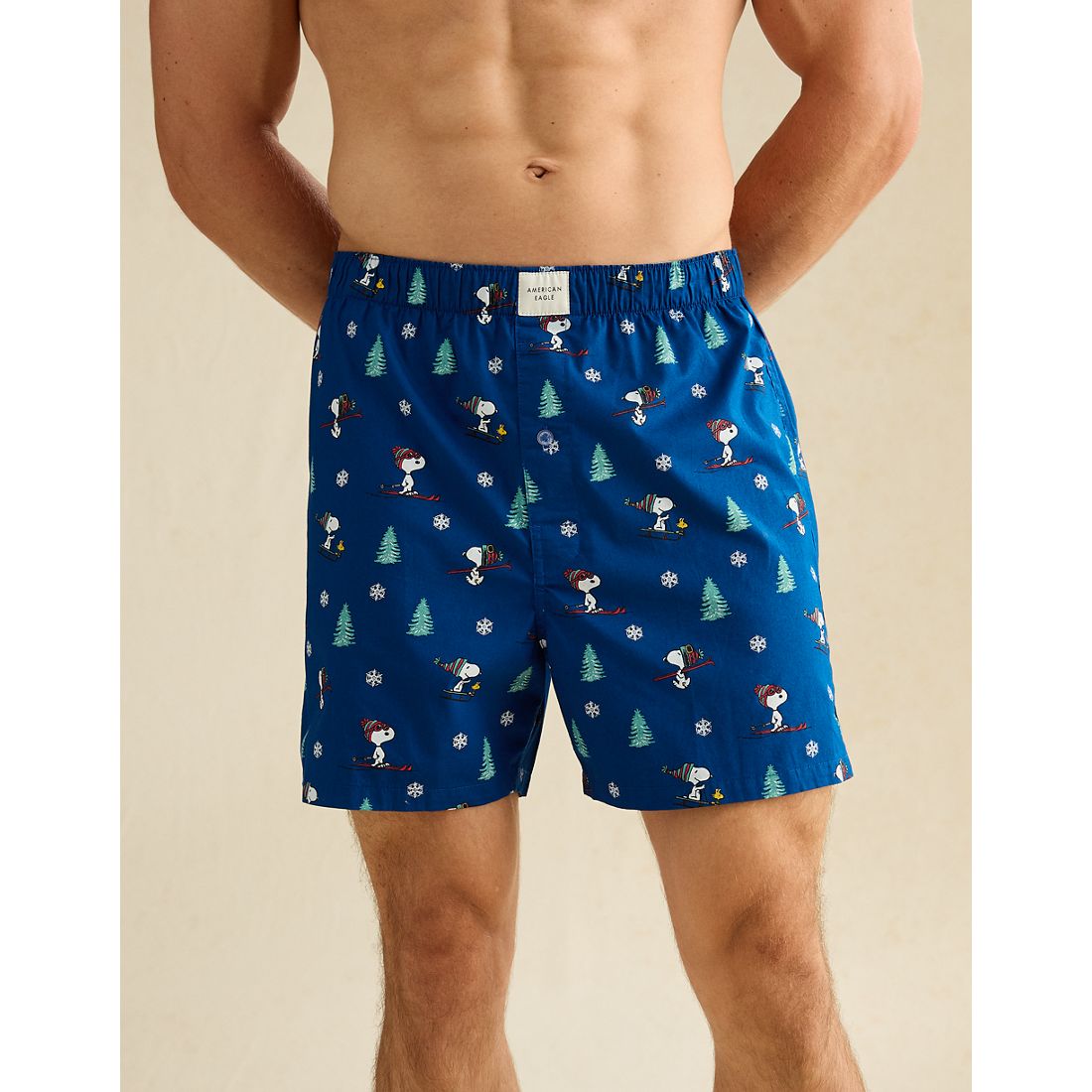 American Eagle AE