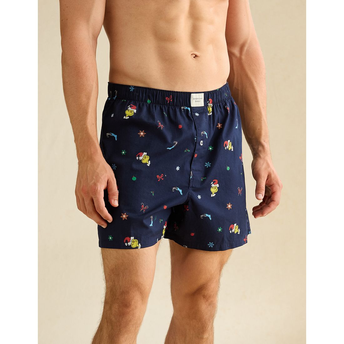 American Eagle AE