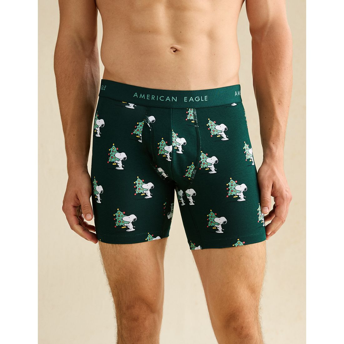 American Eagle AE
