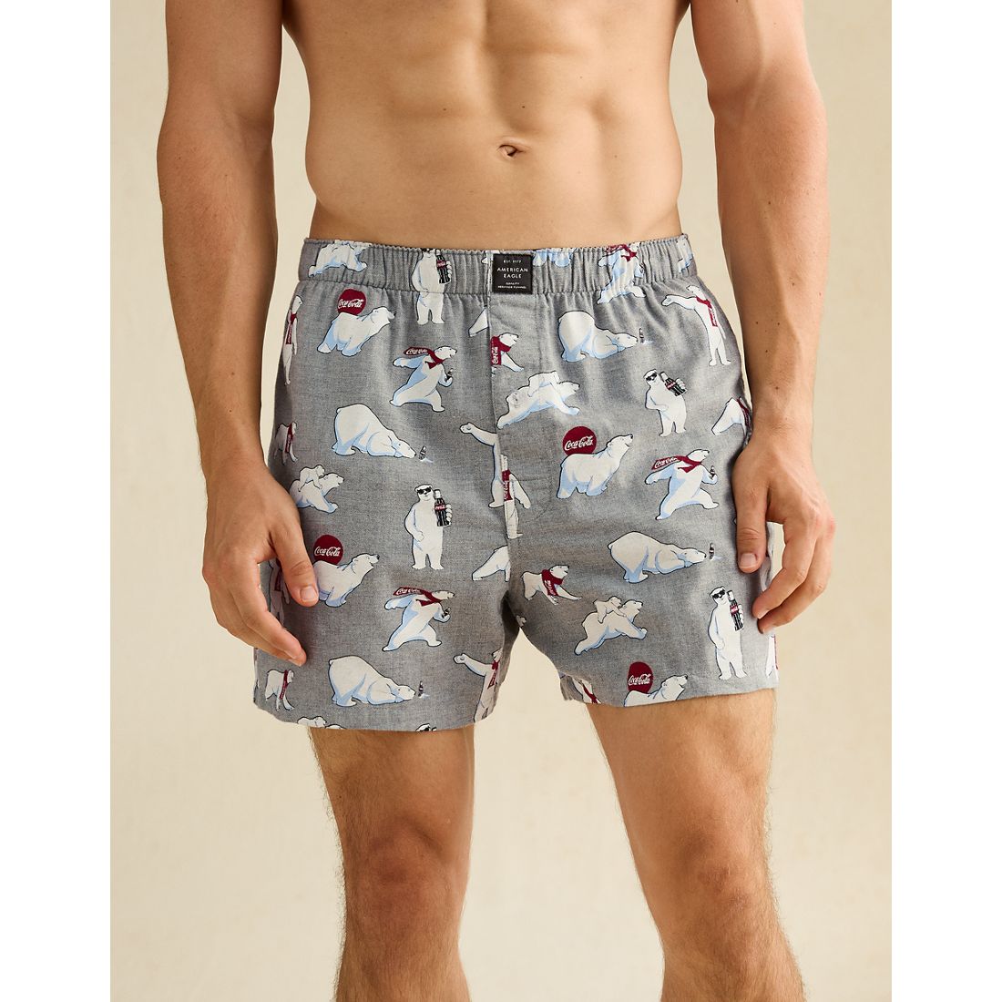 American Eagle AE
