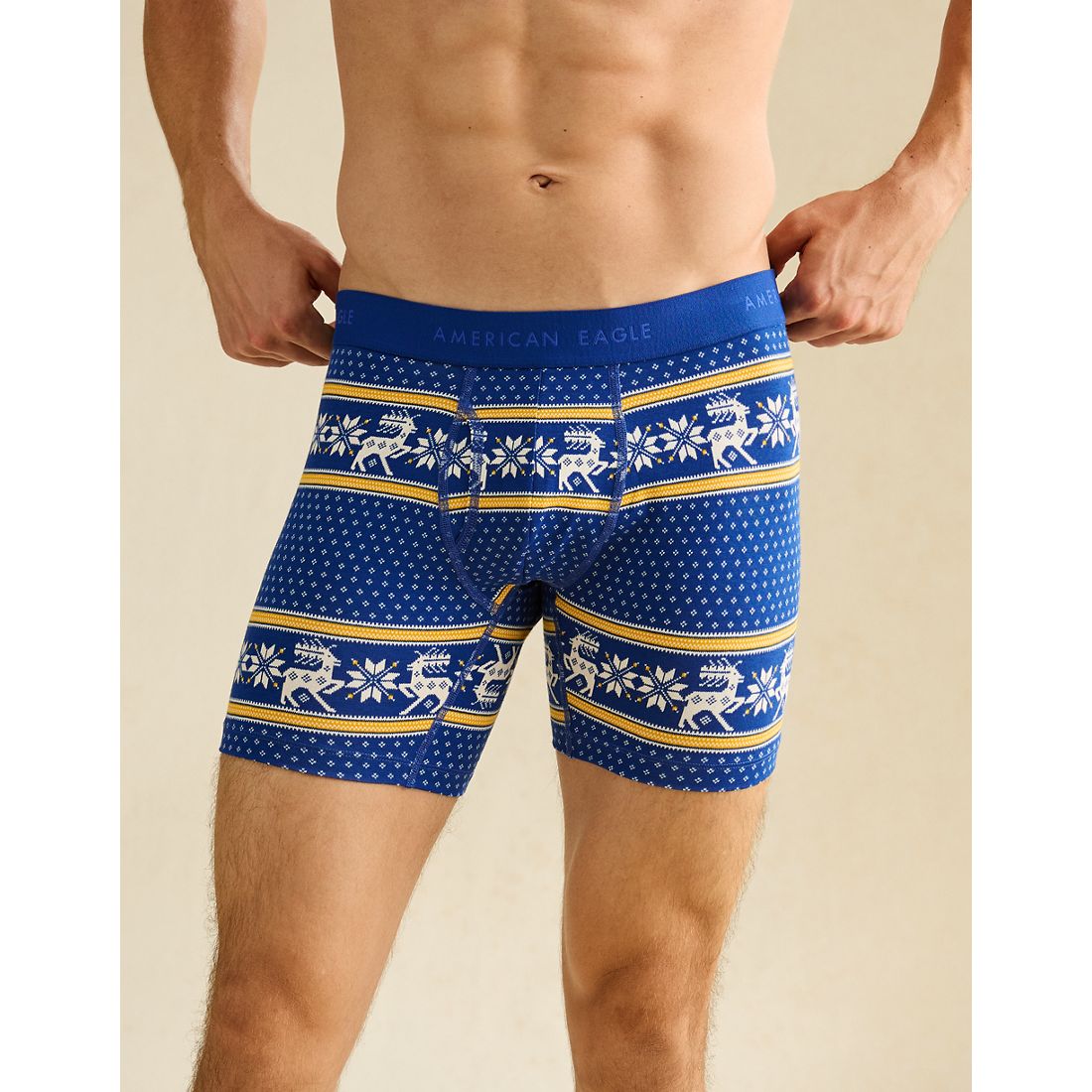 American Eagle AE