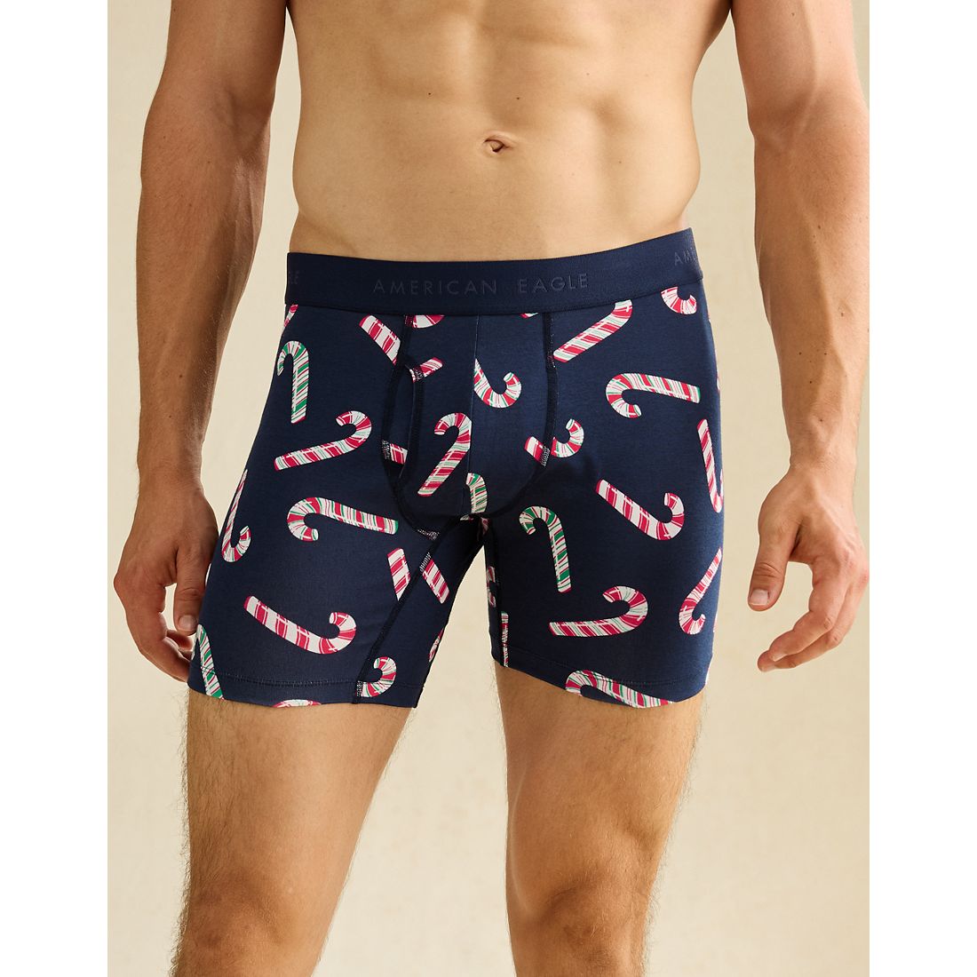 American Eagle AE
