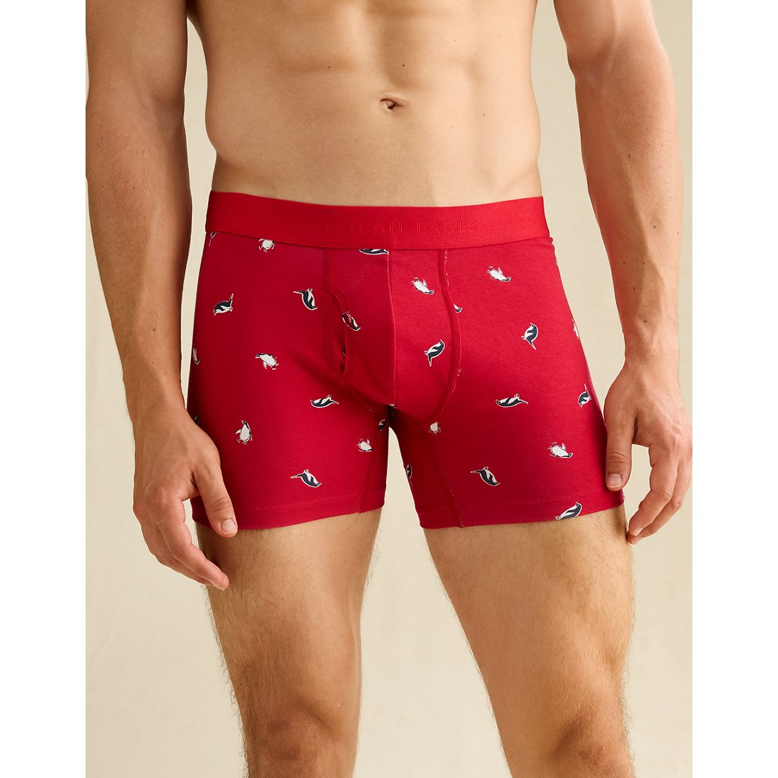 American Eagle AE