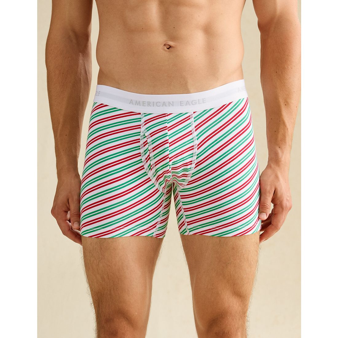 American Eagle AE