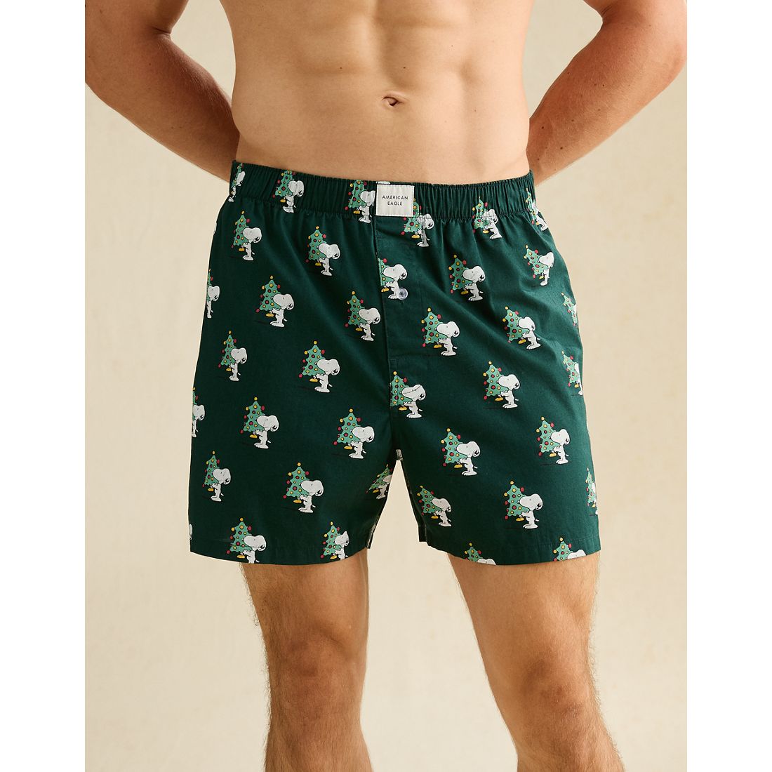 American Eagle AE