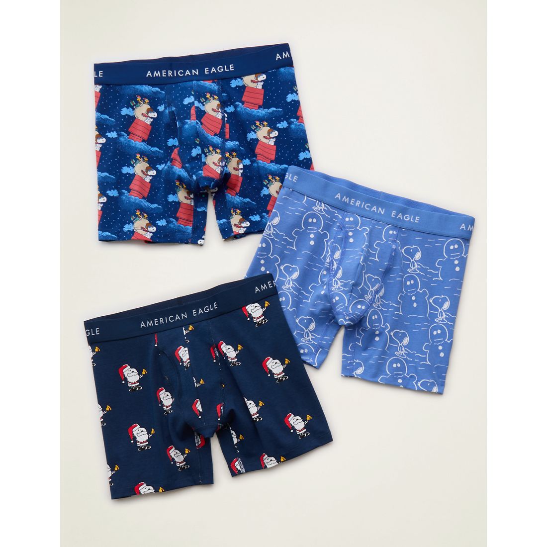 American Eagle AE