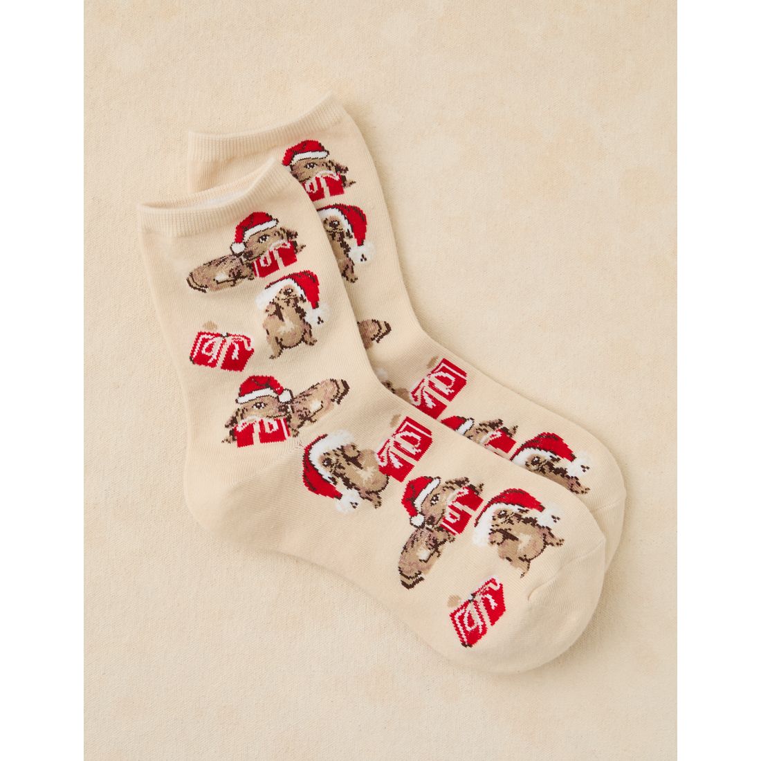 American Eagle AE Graphic Ruffled Cropped Crew Socks