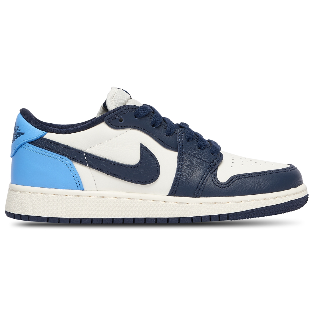 foot locker jordan dunk