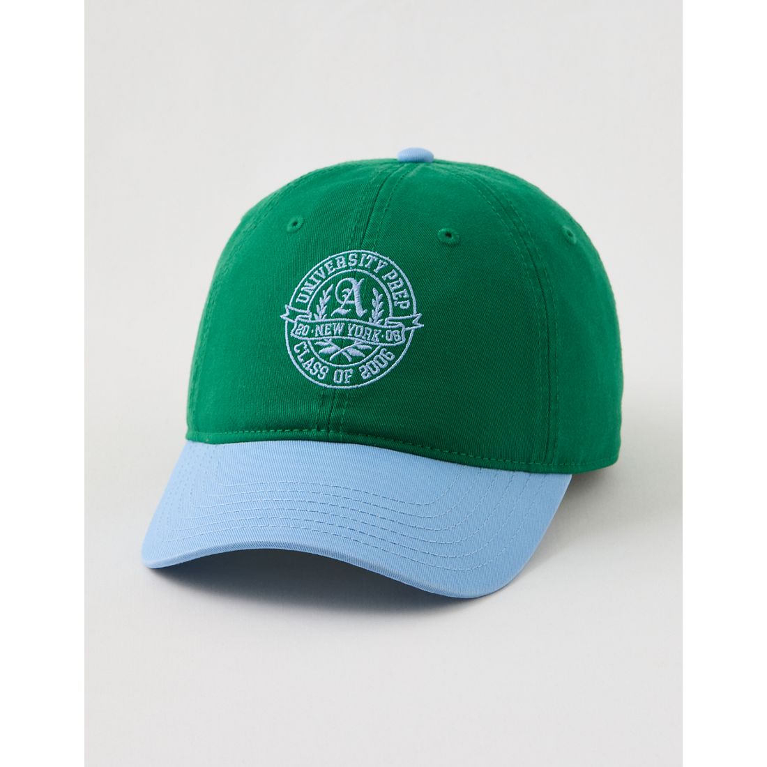 Aerie Colorblock Baseball Hat