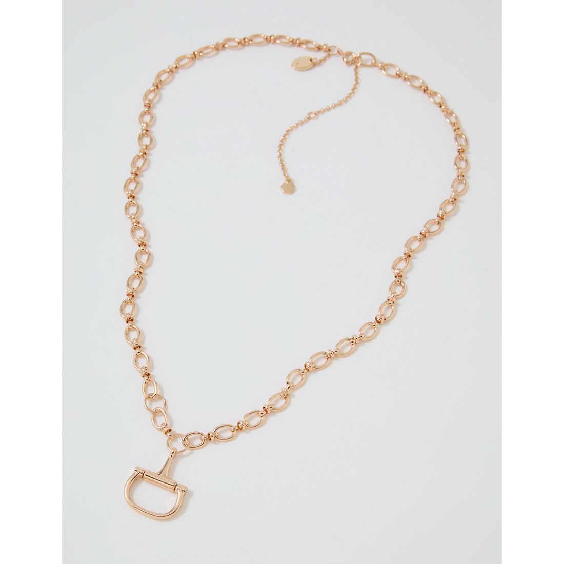 Aerie Long Horsebit Necklace