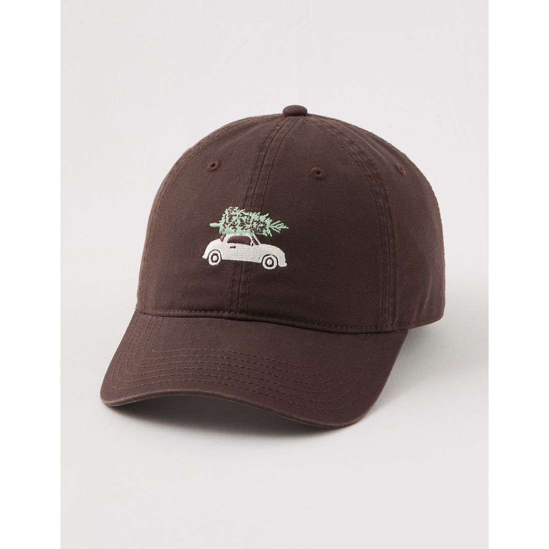 Aerie Graphic Baseball Hat