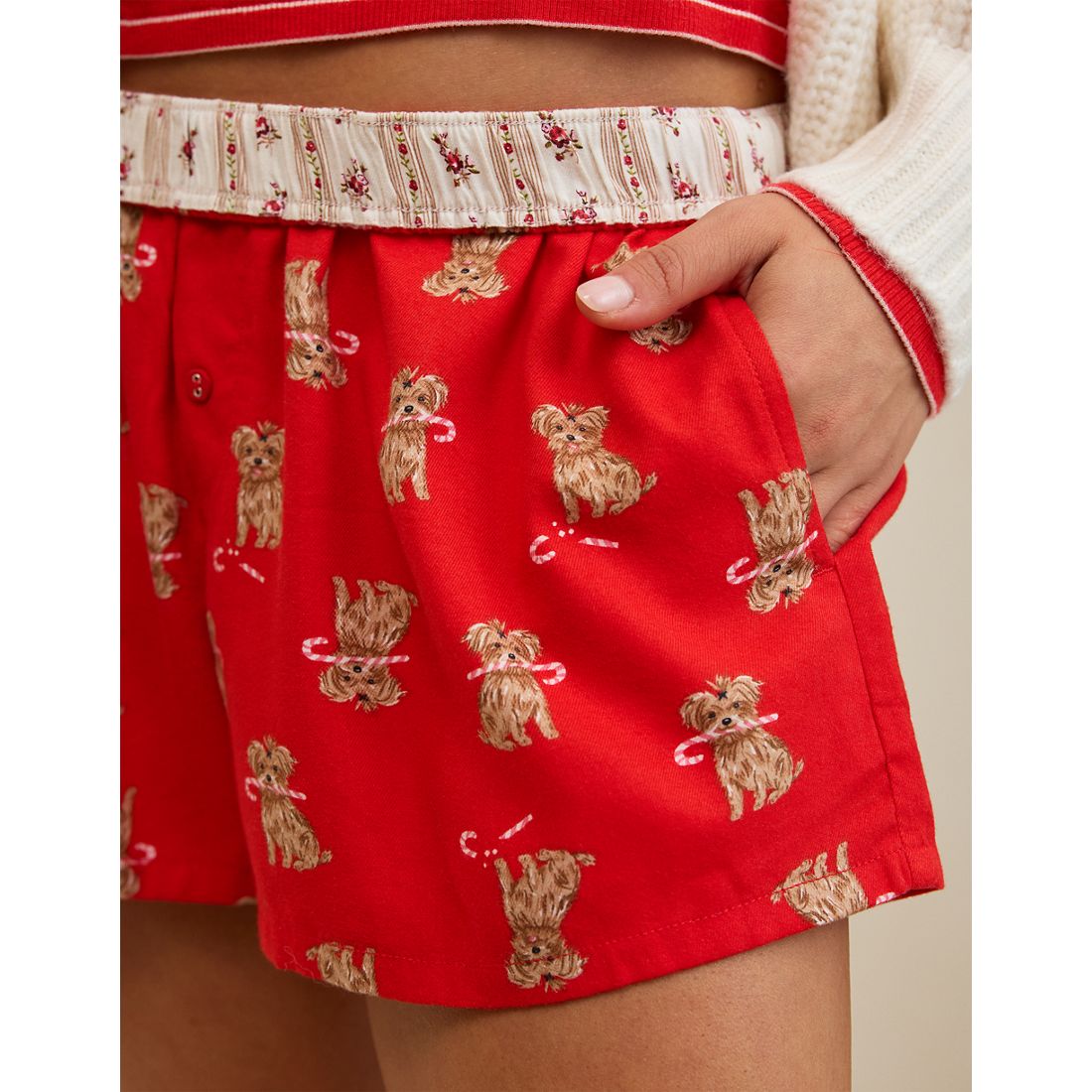 Aerie Checked Out Flannel Boxer