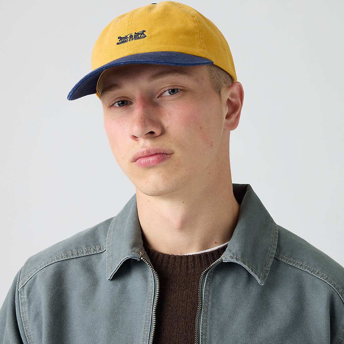 Levi s Rockridge Dad Cap