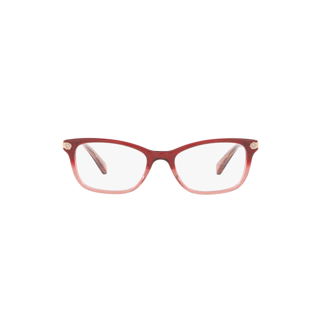Coach Optical Frame