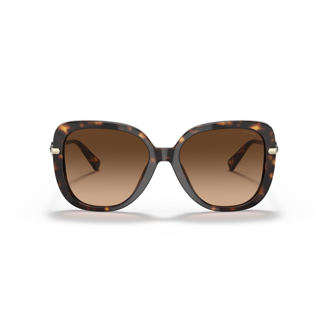 Coach Sun Frame