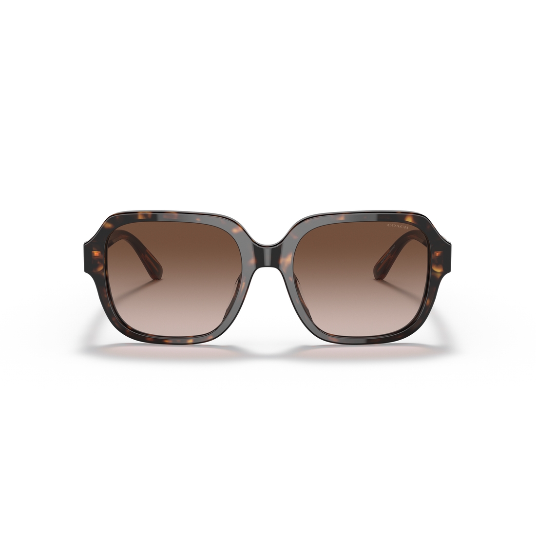 Coach Sun Frame