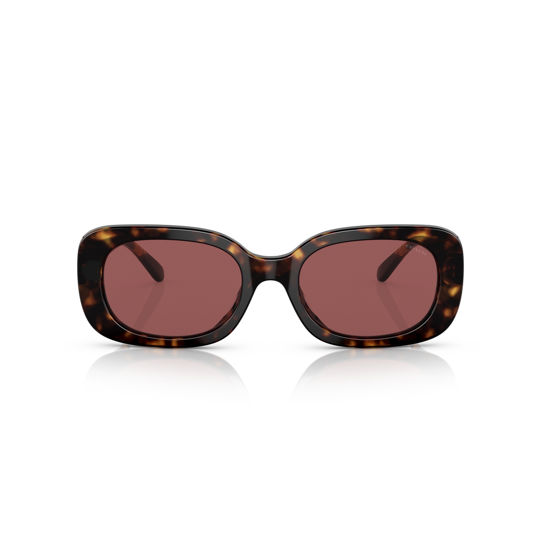 Coach Sun Frame