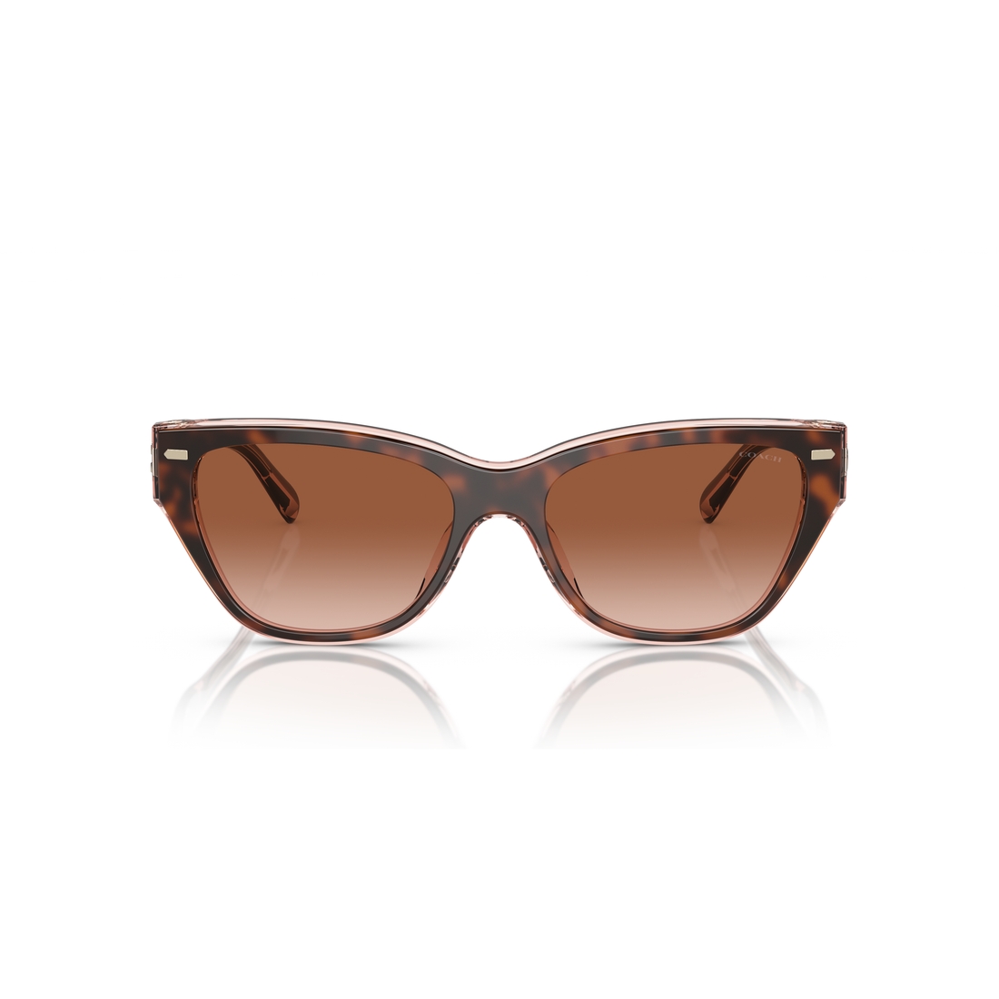 Coach Sun Frame