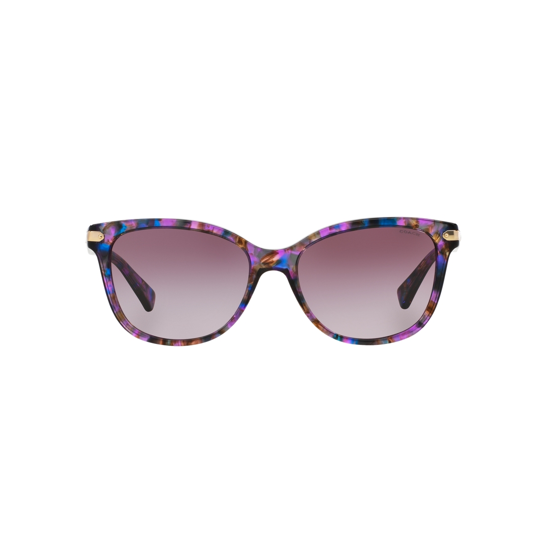 Coach Sun Frame