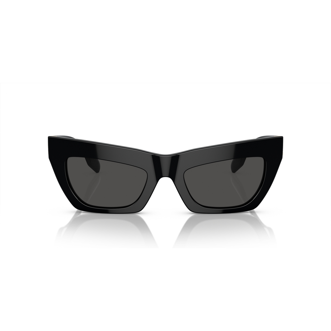 Burberry Sun Frame