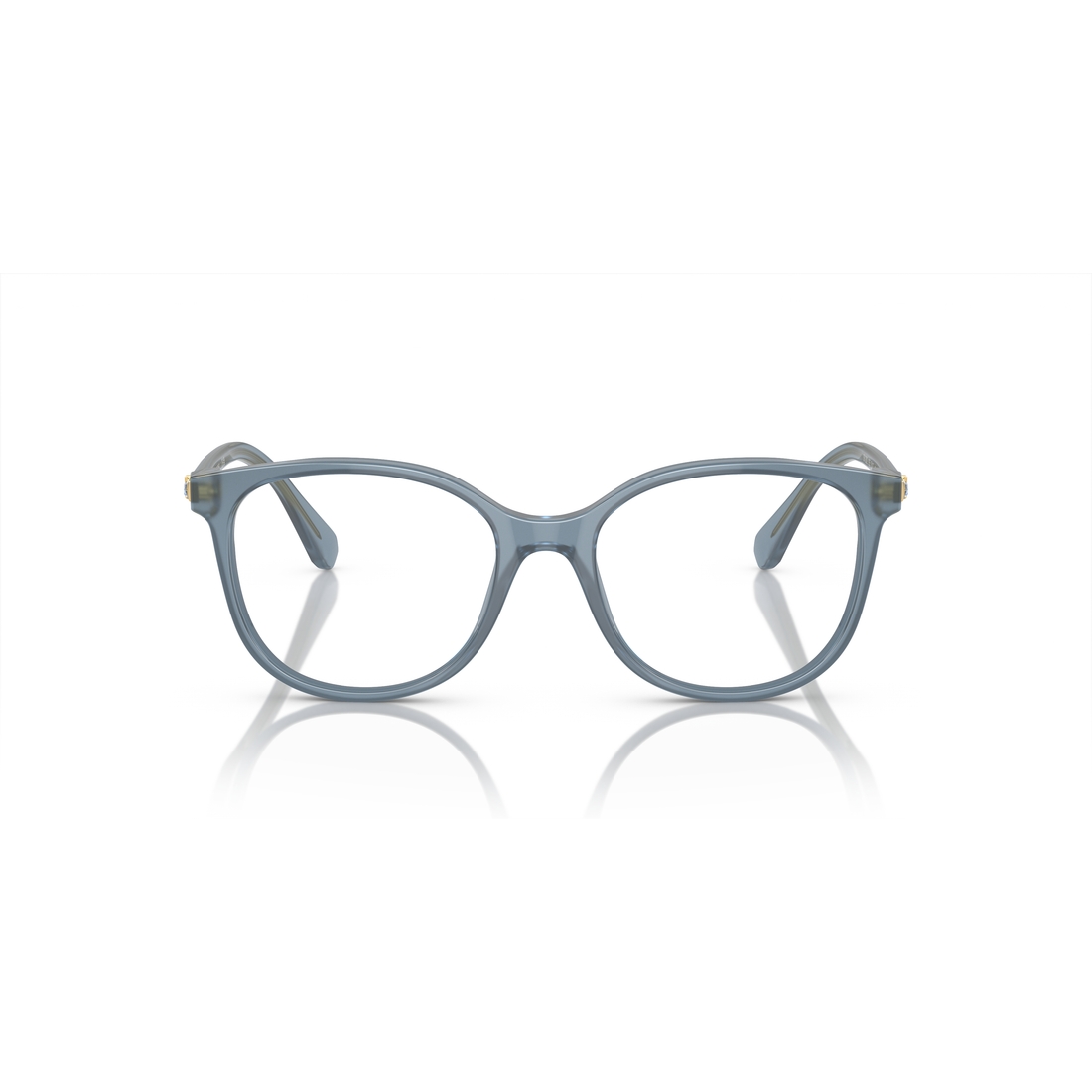Swarovski Optical Frame