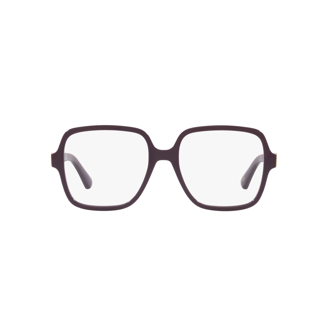 Gucci Optical Frame