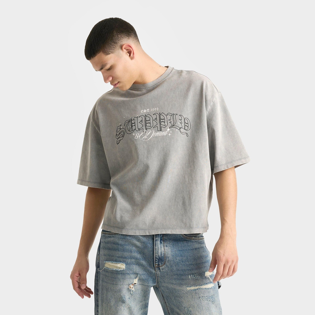 Supply & Demand Men's Gamer T-Shirt in Washed Grey Size: Medium