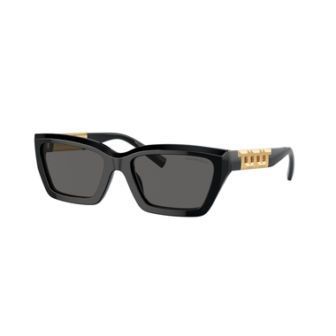 Tiffany & Co. TF3093D available now at Burlington Mall®