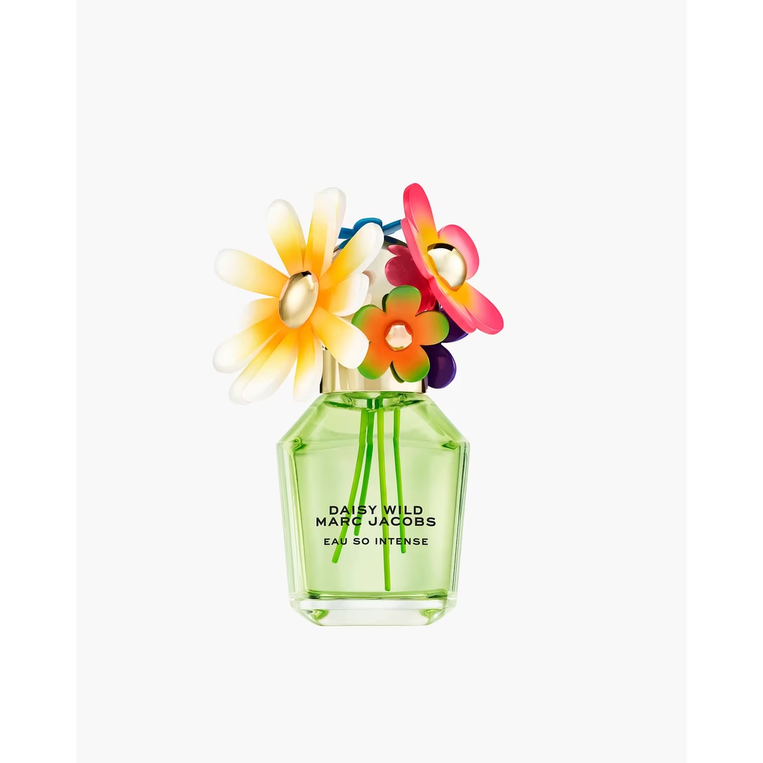 Daisy Wild Intense Eau De Parfum 50 mL Fragrance available now at