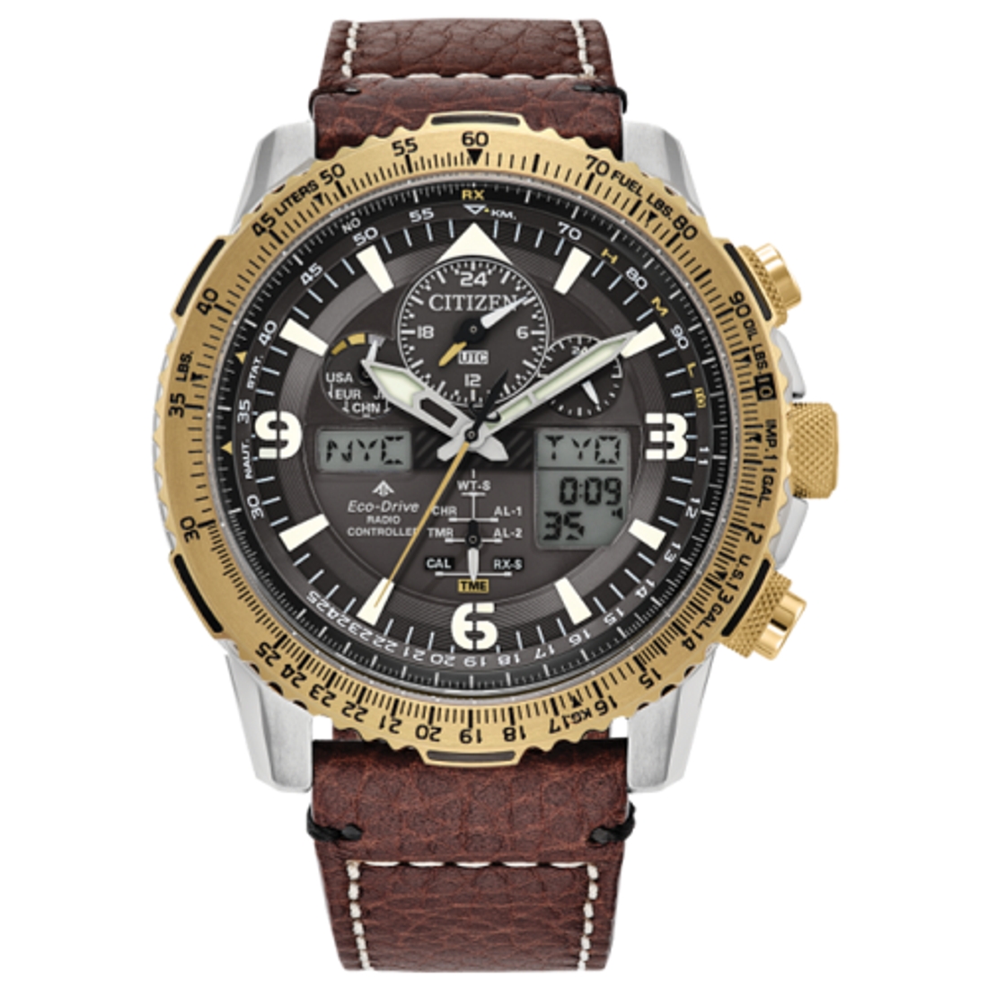 Promaster Skyhawk A-T - JY8084-09H available now at Woodbury