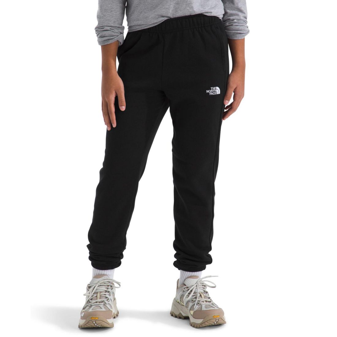 The North Face Big Boys Teen Evolution Pants