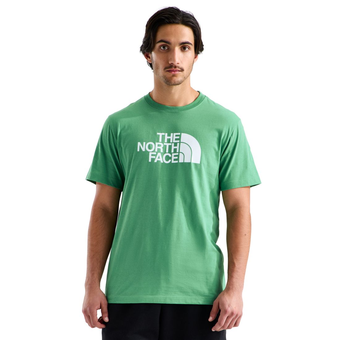 The North Face Men's Evolution Half Dome Short-Sleeve T-Shirt