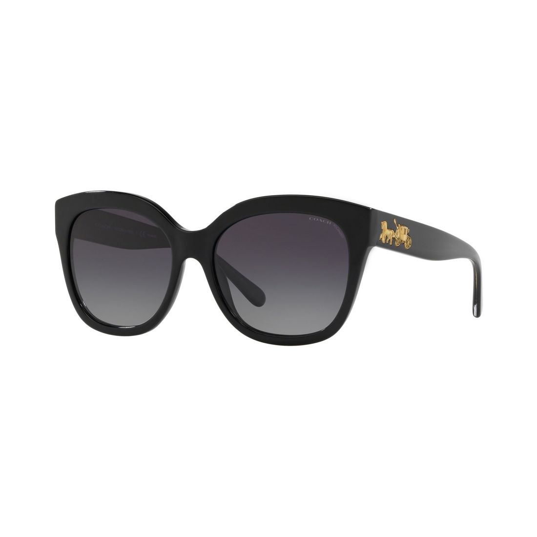 Coach Polarized Sunglasses, HC8264 L1083