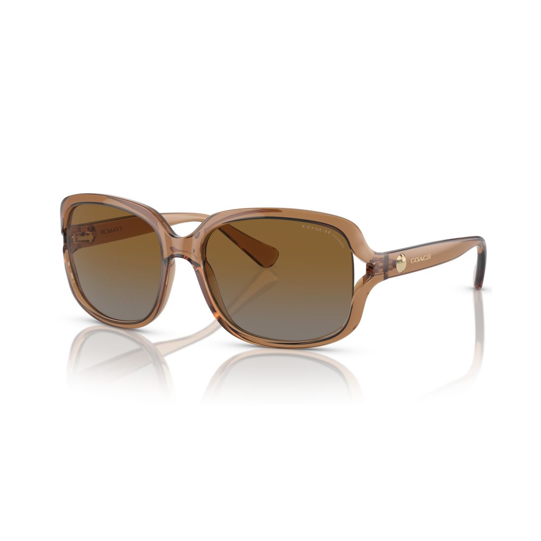 Coach Women's L149 Polarized Sunglasses, Gradient HC8169
